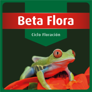 Beta Flora