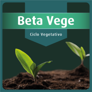 Beta Vege