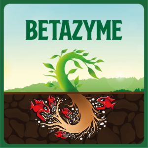 Betazyme