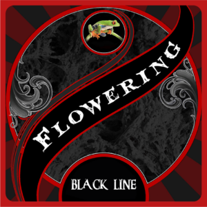 Flowering Black Line