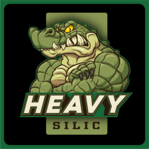 Heavy Silic