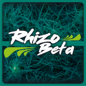 Rhizobeta