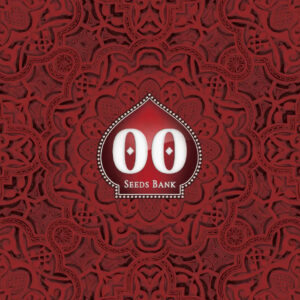 100 UND FEM - AUTO BUBBLE GUM XXL * 00SEEDS 100 UND FEMINIZADAS