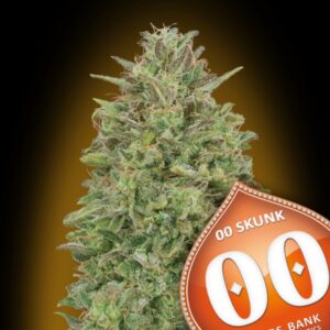 25 UND FEM - 00 SKUNK * 00SEEDS 25 UND FEMINIZADAS