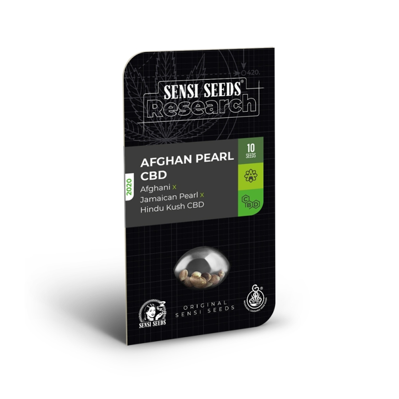 5 UND FEM - AFGHAN PEARL CBD AUTO * SENSI SEEDS RESEARCH FEMINIZADA 5 UND