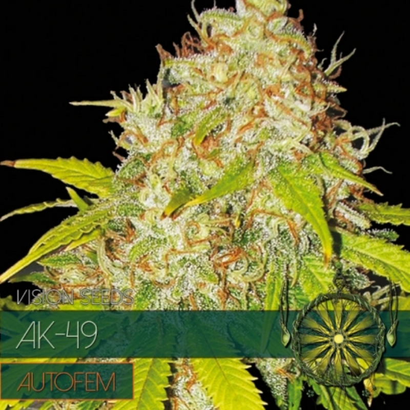 10 UND FEM - AK49 AUTOFLOWERING (ETIQUETA FRANCESA) * VISION SEEDS 10 UND FEMINIZADAS