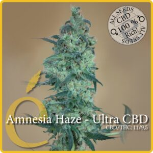 3 UND FEM - AMNESIA HAZE ULTRA CBD * ELITE 3 UND FEMINIZADAS