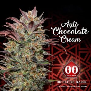 25 UND FEM - AUTO CHOCOLATE CREAM * 00SEEDS 25 UND FEMINIZADAS