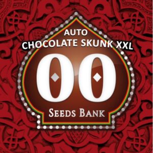 5 UND FEM - AUTO CHOCOLATE SKUNK XXL * 00SEEDS 5 UND FEMINIZADAS