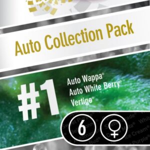 6 UND FEM - AUTO COLLECTION PACK #1 * PARADISE SEEDS 6 UND FEMINIZADAS