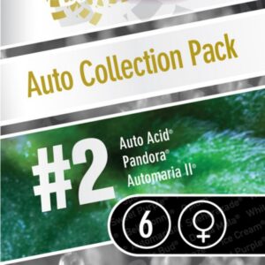 6 UND FEM - AUTO COLLECTION PACK #2 * PARADISE SEEDS 6 UND FEMINIZADAS