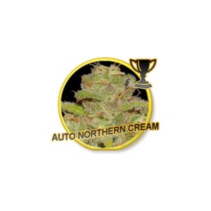 3 UND FEM - AUTO NORTHERN CREAM * MR. HIDE SEEDS 3 UND FEM