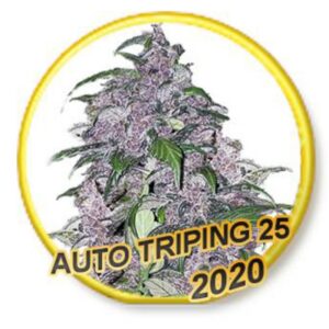 3 UND FEM - AUTO TRIPIN 25 (USA STRAINS) * MR. HIDE SEEDS 3 UND FEM