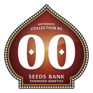 6 UND FEM -AUTOFLORACION  COLLECTION 1 * 00SEEDS 6 UND FEMINIZADAS