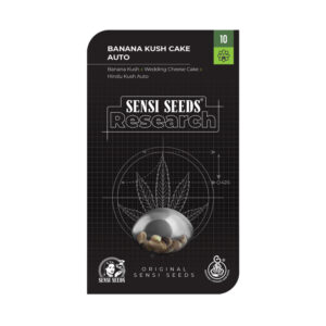 10 UND FEM - BANANA KUSH CAKE AUTOMATICA * SENSI SEEDS RESEARCH FEMINIZADA 10 UND