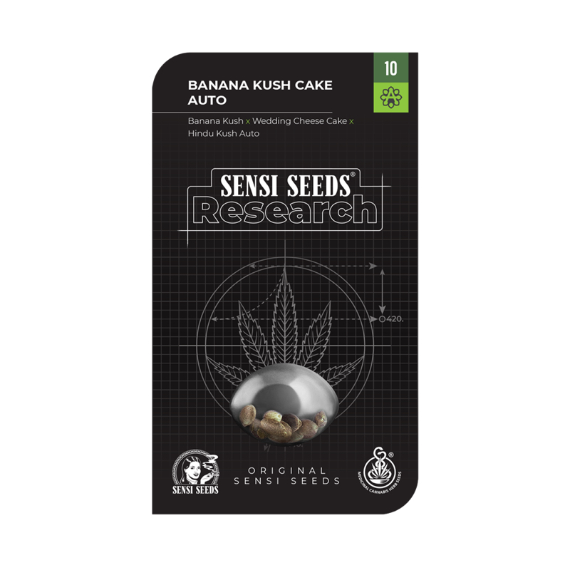 5 UND FEM - BANANA KUSH CAKE AUTOMATICA * SENSI SEEDS RESEARCH FEMINIZADA 5 UND