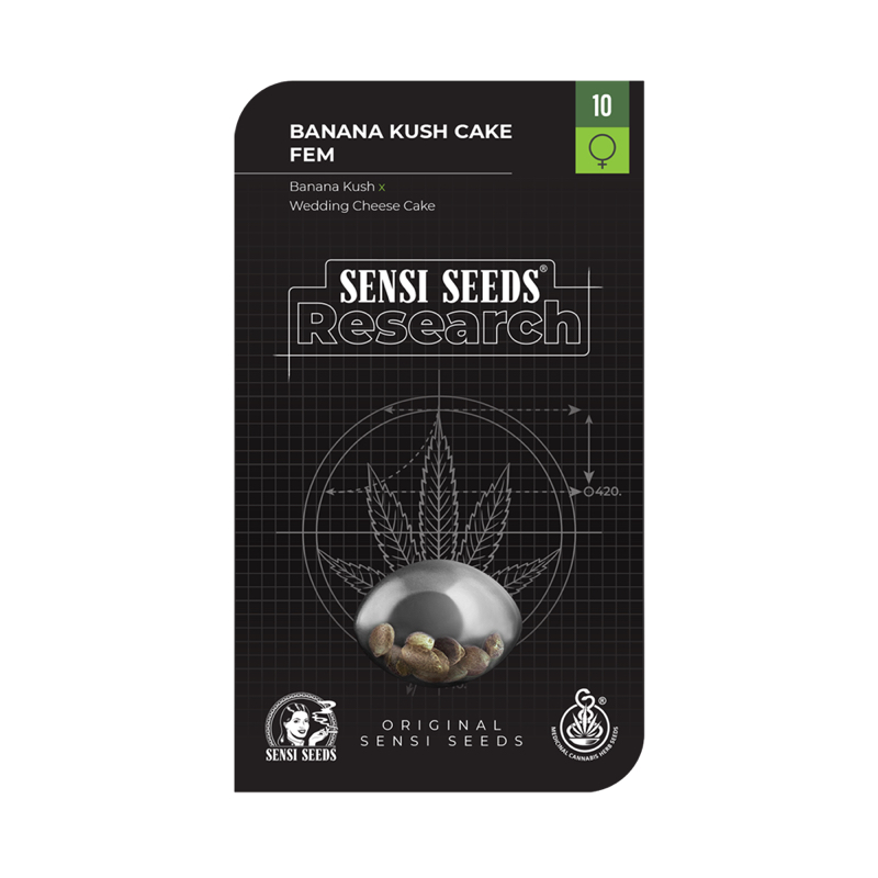 3 UND FEM - BANANA KUSH CAKE FEMINIZADA * SENSI SEEDS RESEARCH FEMINIZADA 3 UND
