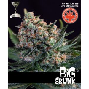 5 UND FEM - BIG SKUNK * PURE SEEDS FEMINIZADA 5 UND