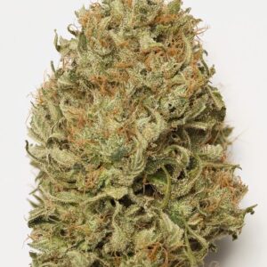 5 UND FEM - BLUE DREAM AUTO * HUMBOLDT 5 UND FEM