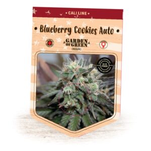 5 UND FEM - BLUEBERRY COOKIES AUTO * GARDEN OF GREEN 5 UND FEMINIZADAS