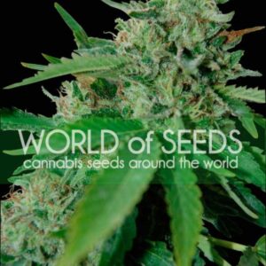 10 UND REG - BRAZIL AMAZONIA  (WOS) * WORLD OF SEEDS 10 UND REG