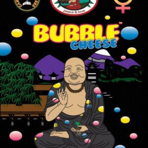 10 UND FEM - BUBBLE CHEESE * BIG BUDDHA SEEDS 10 UND FEMINIZADAS
