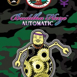 10 UND FEM - BUDDHA HAZE AUTOMATIC * BIG BUDDHA SEEDS 10 UND FEMINIZADAS