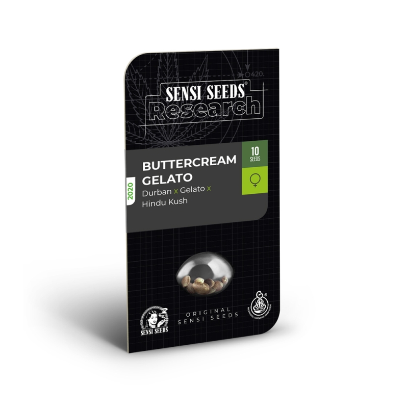 3 UND FEM - BUTTERCREAM GELATO * SENSI SEEDS RESEARCH FEMINIZADA 3 UND