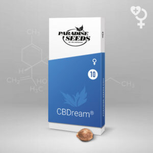 3 UND FEM - CBDREAM * PARADISE SEEDS 3 UND FEMINIZADAS