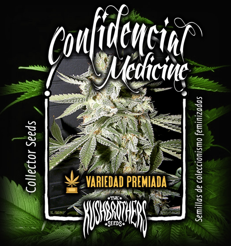 10 UND FEM - CONFIDENTIAL MEDICINE * THE KUSH BROTHERS SEEDS 10 UND FEMINIZADAS