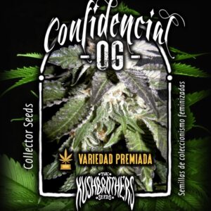 1 UND FEM - CONFIDENTIAL OG * THE KUSH BROTHERS SEEDS 1 UND FEMINIZADA
