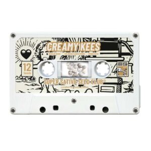 12 UND REG - CREAMY KEES * SUPER SATIVA SEED CLUB 12 UND REGULARES