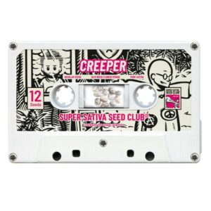 12 UND REG - CREEPER * SUPER SATIVA SEED CLUB 12 UND REGULARES