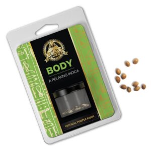 5 UND FEM - CRITICAL PURPLE KUSH * DAWG STAR 5 FEMINIZADAS