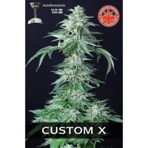 3 UND FEM - CUSTOM X * PURE SEEDS 3 UND FEMINIZADAS