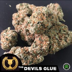 5 UND FEM - DEVIL'S GLUE * DEVILS HARVEST 5 UND FEMINIZADAS