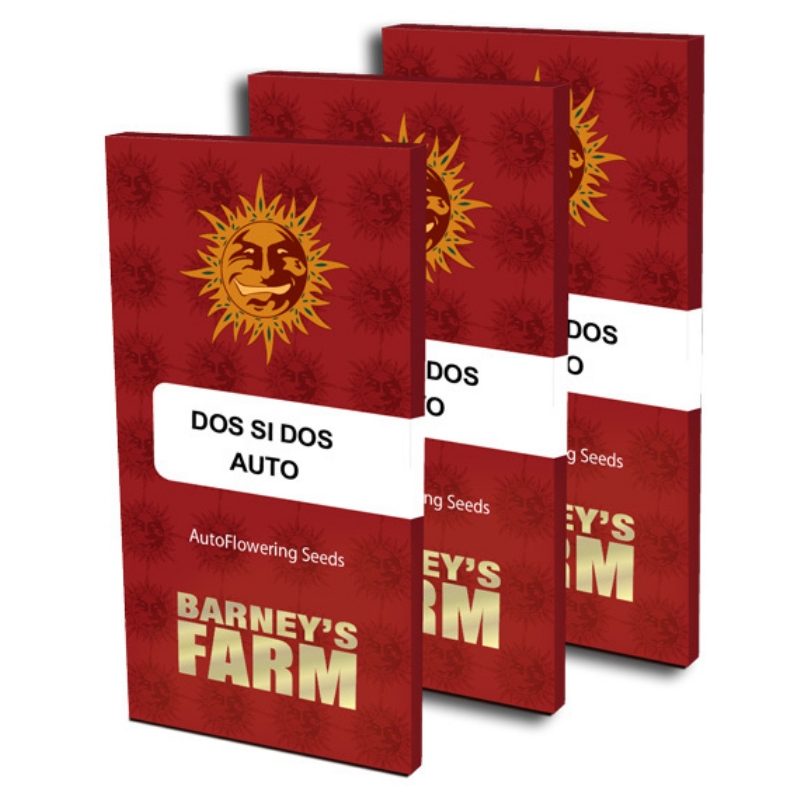 1 UND FEM - DOS SI DOS AUTO * BARNEY'S FARM 1 UND FEMINIZADAS