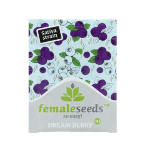 10 UND FEM - DREAM BERRY * FEMALE SEEDS 10 UND FEMINIZADAS