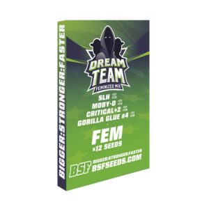 12 UND FEM - DREAM TEAM FEMINIZED MIX * BSF SEEDS 12 UND FEMINIZADAS