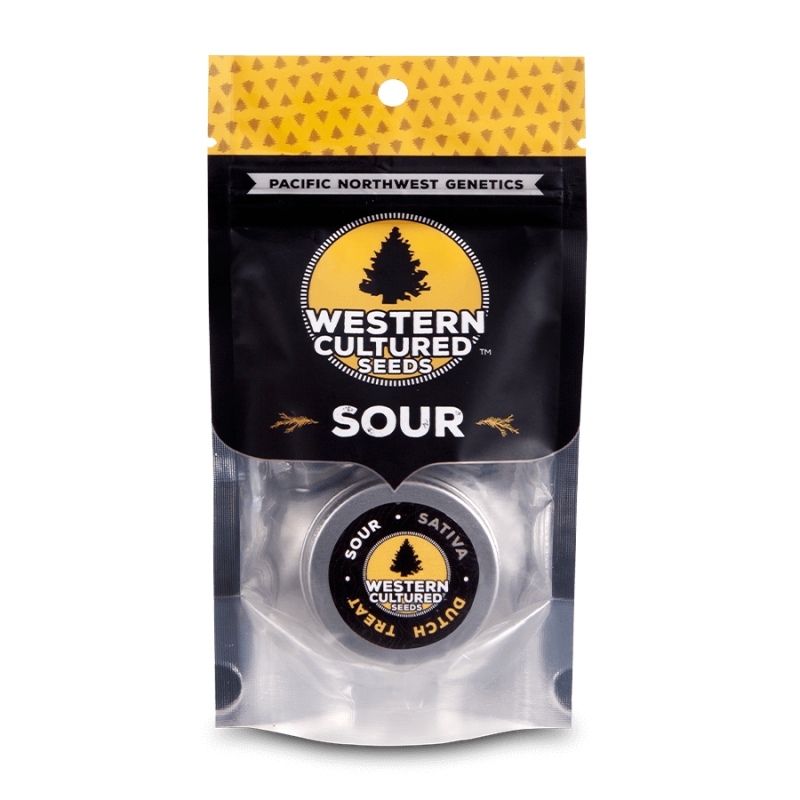 10 UND FEM - DUTCH TREAT - SOUR * WESTERN CULTURED 10 FEMINIZADAS