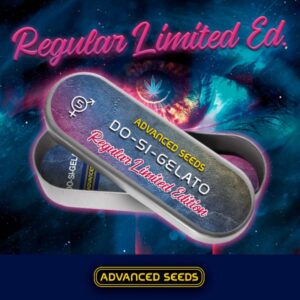 5 UND REG. - ED. ESPECIAL - DO-SI-GELATO * ADVANCED SEEDS  5 UND REG