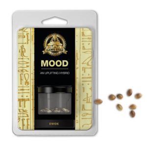 3 UND FEM - EWOK * DAWG STAR 3 FEMINIZADAS