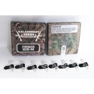 16 UND FEM - FEM MIX PACK * KALASHNIKOV SEEDS 16 UND FEMINIZADAS