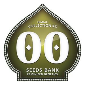 6 UND FEM - FEMALE COLLECTION #2 * 00SEEDS 6 UND FEMINIZADAS