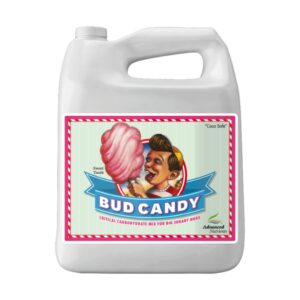 Bud Candy 5L