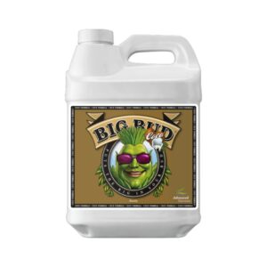 Big Bud Coco LIQUID 250ML