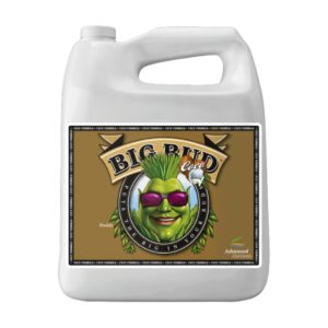 Big Bud Coco LIQUID 5L