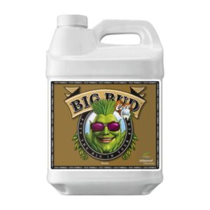 Big Bud Coco LIQUID 10L