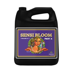 PH Perfect Sensi Bloom A+B 5L
