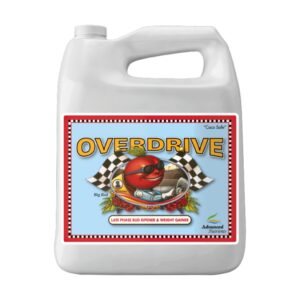 Overdrive 5L